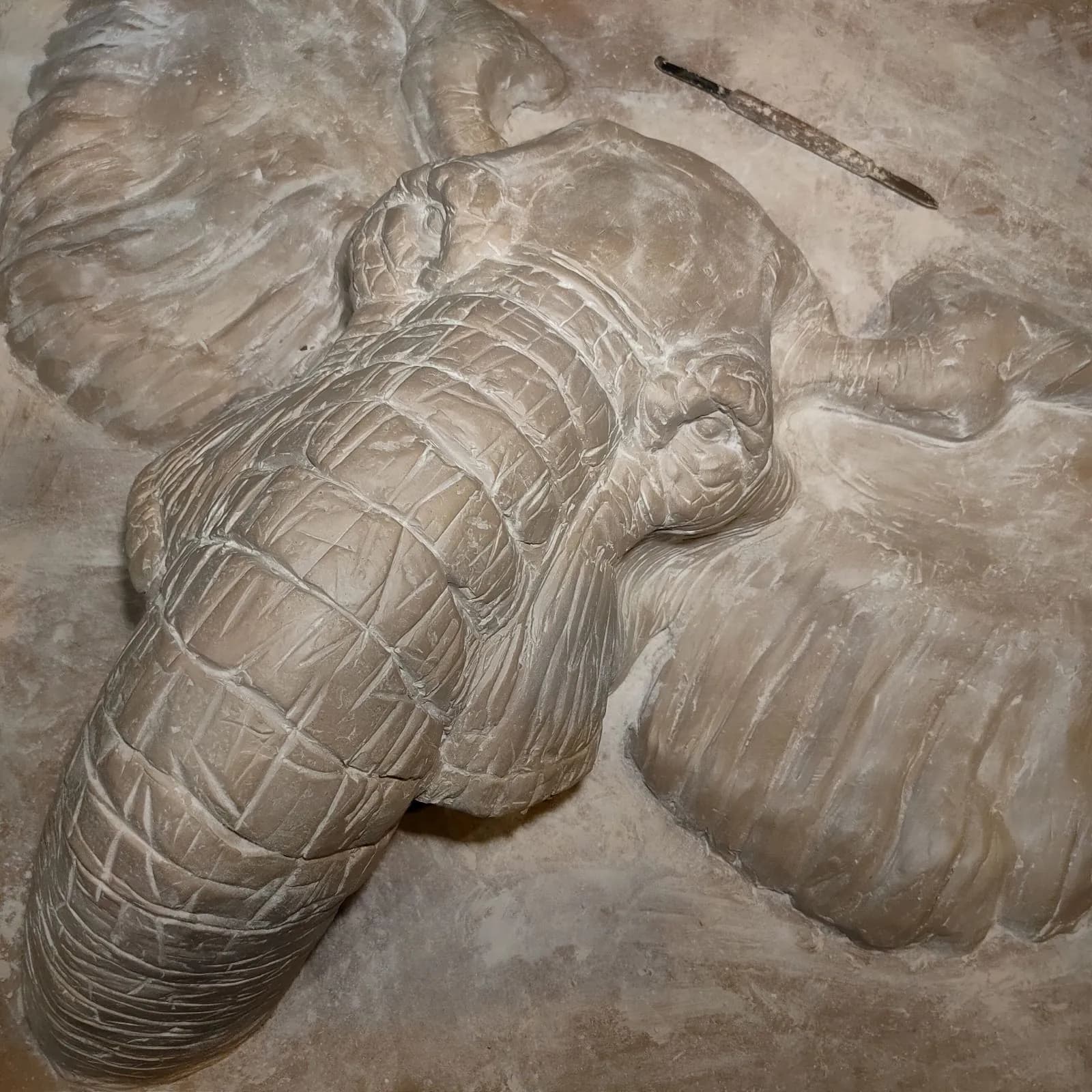 Rölyef 104, Ramazan Eroğlu